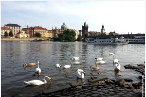 Как организовать путешествие по Чехии?