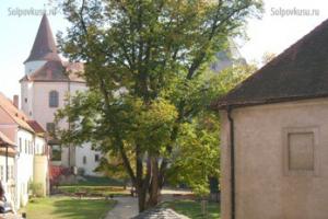 Замок Кривоклат (Чехия): фото и отзывы